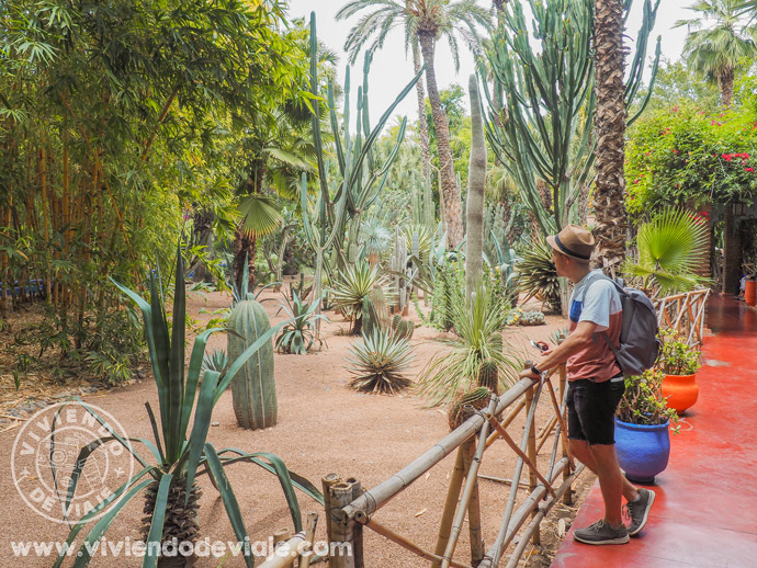 Que ver en Marrakech, Jardines Majorelle Que ver en Marrakech, Jardines Majorelle