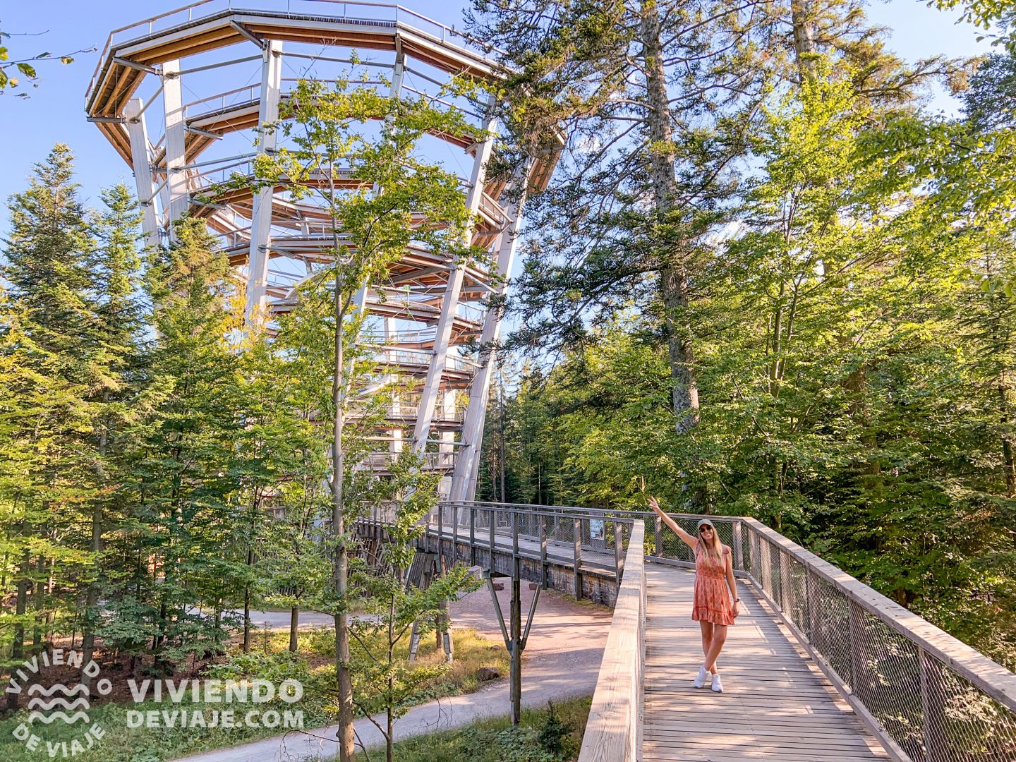 Ruta por la Selva Negra [GUÍA DE VIAJE] Viviendo de Viaje