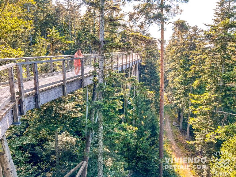 Ruta por la Selva Negra [GUÍA DE VIAJE] Viviendo de Viaje